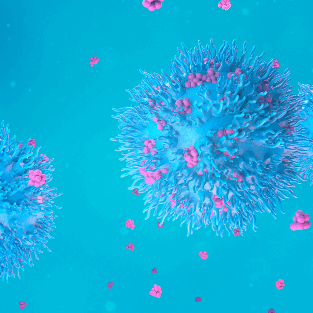 This image features a 3D-rendered illustration of lymphocytes—specifically T cells or B cells—within the immune system. The large, spherical structures in blue represent lymphocytes.