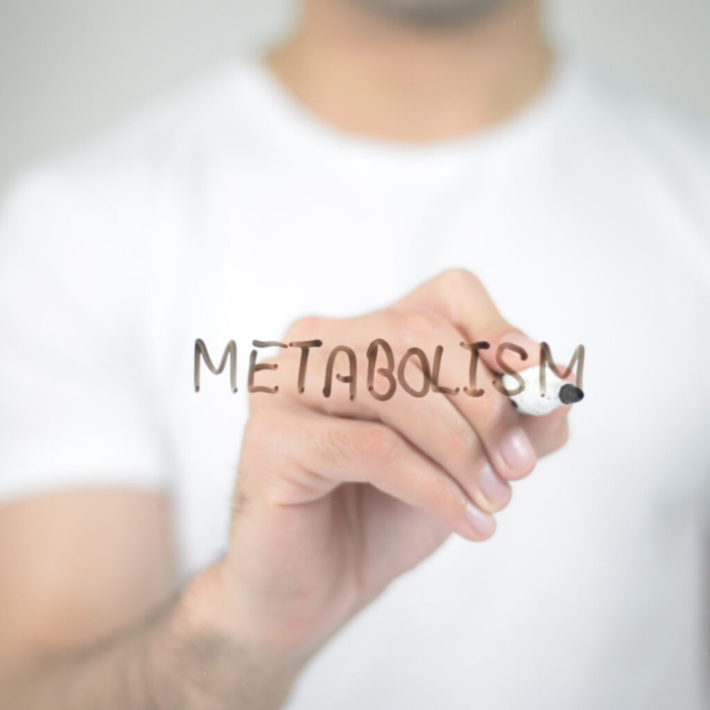 Person wearing a white shirt is writing the word ‘metabolism’ in black on a transparent surface. Their hand and cheek are visible behind the surface.